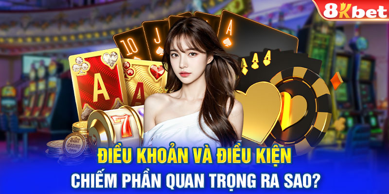 Điều khoản và điều kiện chiếm phần quan trọng ra sao?